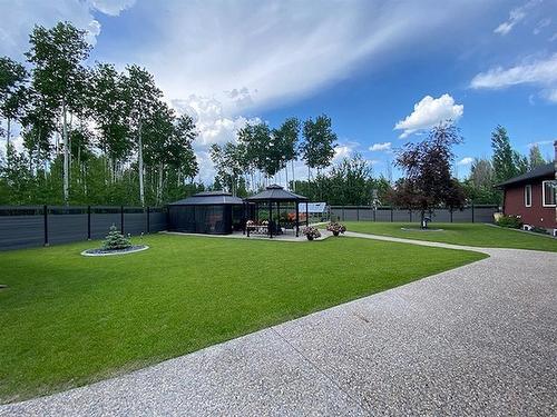 2 Chonkolay Drive, High Level, AB - Outdoor With Backyard