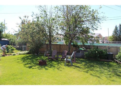 311 5Th Avenue Se, Manning, AB - Outdoor With Backyard