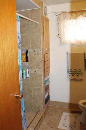 311 5Th Avenue Se, Manning, AB - Indoor Photo Showing Bathroom