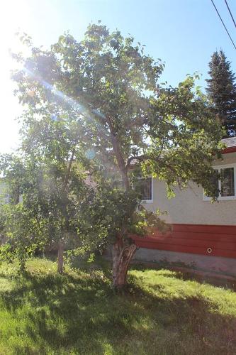 302 6Th Avenue Se, Manning, AB - Outdoor