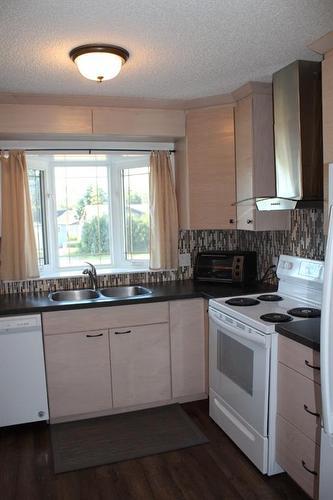 302 6Th Avenue Se, Manning, AB - Indoor Photo Showing Kitchen With Double Sink