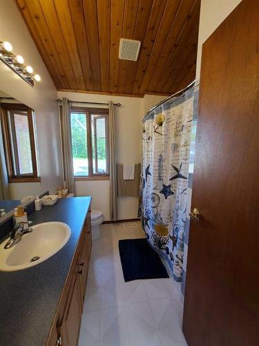 73-843058 Rr 222, Rural Northern Lights, County Of, AB - Indoor Photo Showing Bathroom