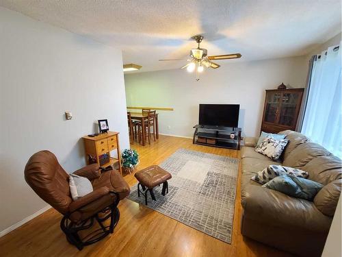 4812 48 Avenue, Grimshaw, AB - Indoor Photo Showing Living Room