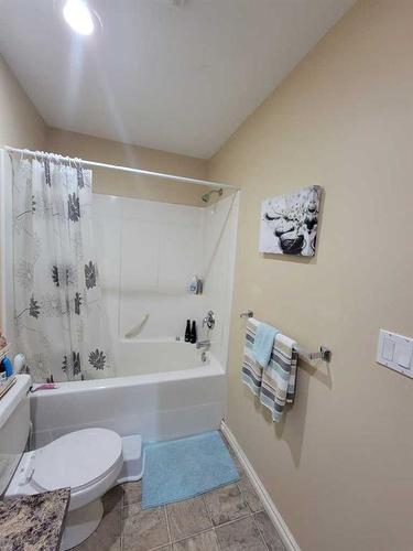 11314 91 Street, Peace River, AB - Indoor Photo Showing Bathroom