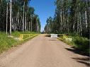 Lot 23-692059 Rge Rd 104A Wapiti River, Rural Grande Prairie No. 1, County Of, AB 