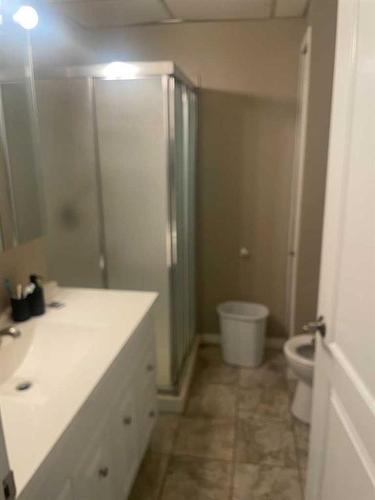 121 2 Avenue, Falher, AB - Indoor Photo Showing Bathroom
