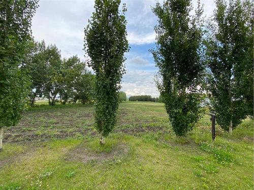 60037 Twp Rd 725, Clairmont, AB - Outdoor With View
