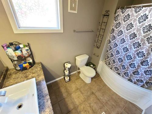 10341 110 Avenue, Peace River, AB - Indoor Photo Showing Bathroom
