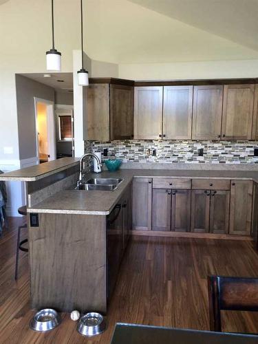 10410 90 Street, Peace River, AB - Indoor Photo Showing Kitchen With Double Sink