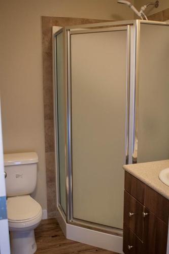10109 92A Street, Grande Prairie, AB - Indoor Photo Showing Bathroom
