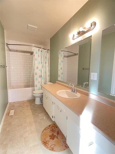 5021 55Th Avenue, High Prairie, AB - Indoor Photo Showing Bathroom