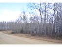 Corner Lot 2 Twp 850, Rural Northern Lights, County Of, AB 