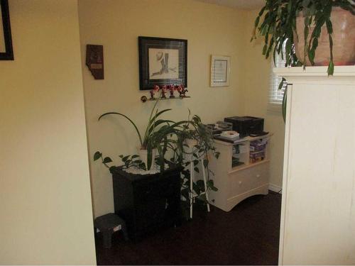 221 3Rd Avenue Sw, Manning, AB - Indoor Photo Showing Other Room