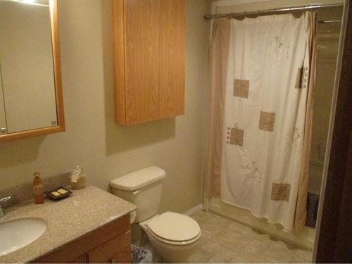 221 3Rd Avenue Sw, Manning, AB - Indoor Photo Showing Bathroom