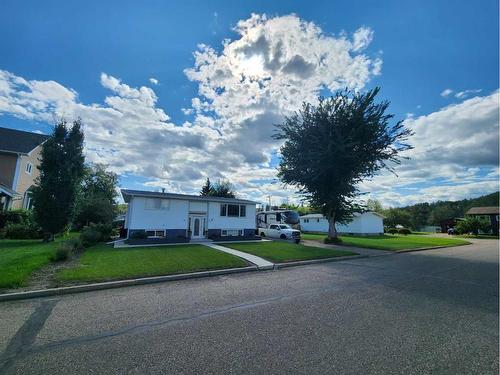 221 3Rd Avenue Sw, Manning, AB - Outdoor