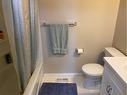 4814 47 Avenue, Spirit River, AB  - Indoor Photo Showing Bathroom 