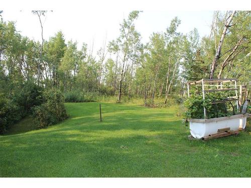 725 7Th Avenue Nw, Manning, AB - Outdoor With Backyard