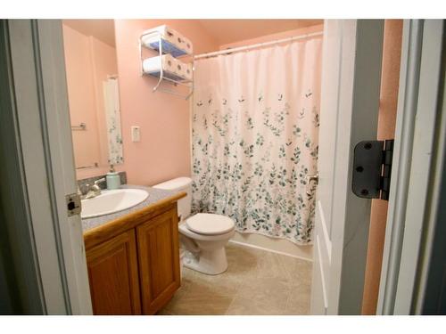 39 Deerglen Trailer Park, High Level, AB - Indoor Photo Showing Bathroom