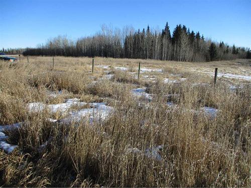 874080 Rge Rd 252, Dixonville, AB - Outdoor With View