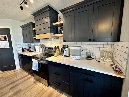 11310 62 Avenue, Grande Prairie, AB - Indoor Photo Showing Kitchen With Upgraded Kitchen