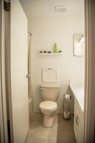 10710 103 Street, High Level, AB - Indoor Photo Showing Bathroom