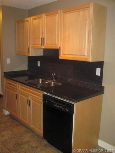 102-9005 99 Street, Peace River, AB - Indoor Photo Showing Kitchen With Double Sink