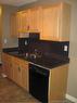 102-9005 99 Street, Peace River, AB  - Indoor Photo Showing Kitchen With Double Sink 