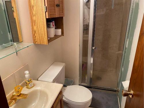 5120 46 Avenue, Spirit River, AB - Indoor Photo Showing Bathroom