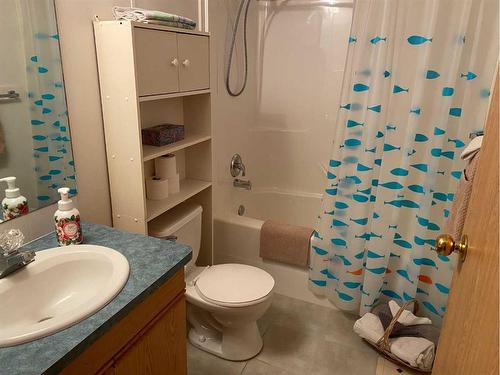 4817 43A Avenue, Spirit River, AB - Indoor Photo Showing Bathroom