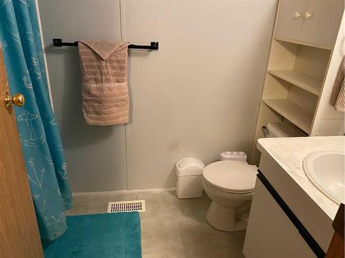 4817 43A Avenue, Spirit River, AB - Indoor Photo Showing Bathroom