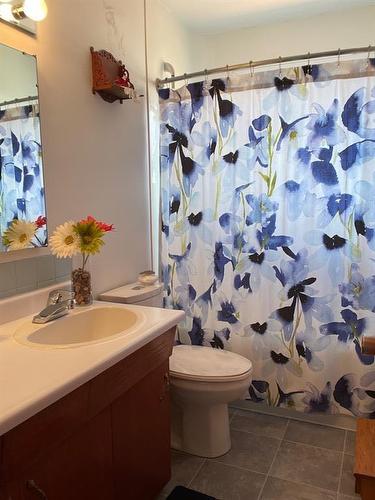 73528 Range Road 133, Joussard, AB - Indoor Photo Showing Bathroom