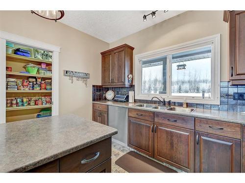 713019 94 Range Road, Rural Grande Prairie No. 1, County Of, AB - Indoor Photo Showing Kitchen With Double Sink