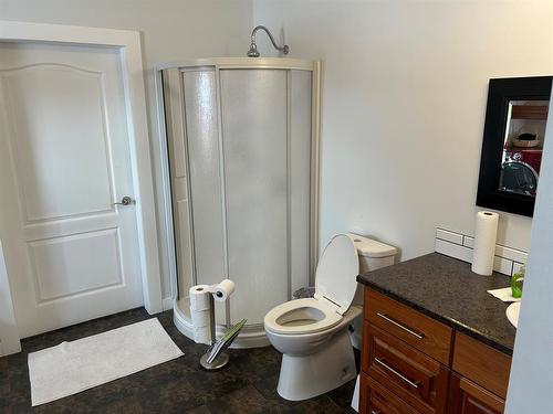 74224 Range Road 173, High Prairie, AB - Indoor Photo Showing Bathroom