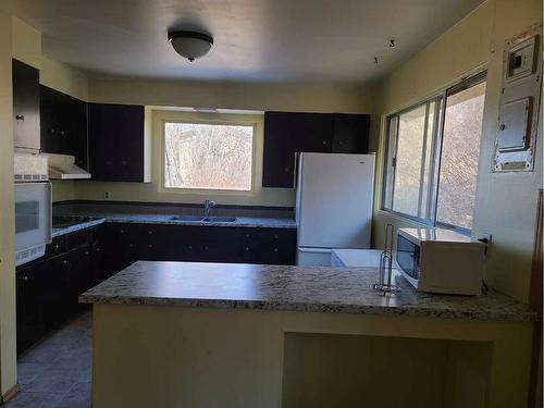 11101 101 Street, Peace River, AB - Indoor Photo Showing Kitchen With Double Sink