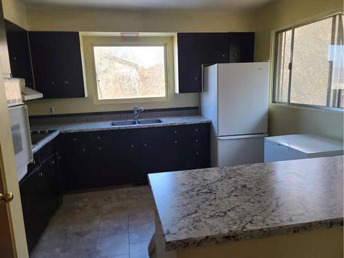 11101 101 Street, Peace River, AB - Indoor Photo Showing Kitchen With Double Sink