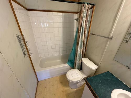 4913 53 Street, Grimshaw, AB - Indoor Photo Showing Bathroom