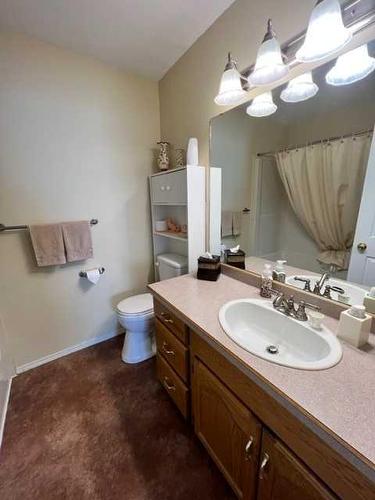 10409 108 Avenue, High Level, AB - Indoor Photo Showing Bathroom