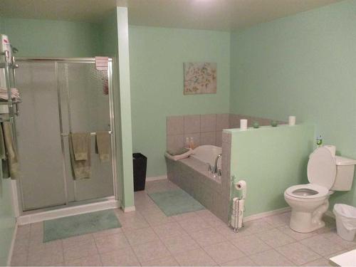 #308 6Th Avenue Se, Manning, AB - Indoor Photo Showing Bathroom