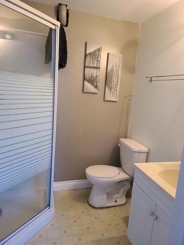 11025 103 Street, Peace River, AB - Indoor Photo Showing Bathroom