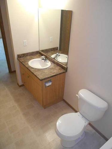 206 ,300, 302-12015 Royal Oaks Drive, Grande Prairie, AB - Indoor Photo Showing Bathroom