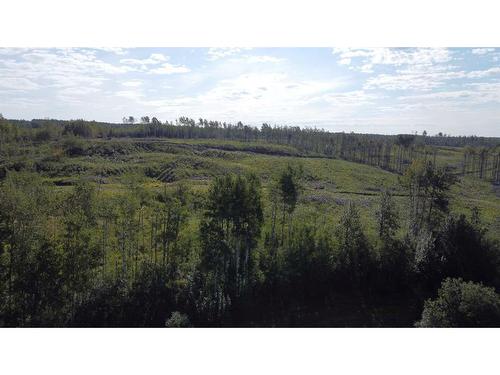 19441 Twp Rd 703, Rural Greenview No. 16, M.D. Of, AB - Outdoor With View