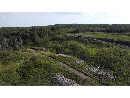 19441 Twp Rd 703, Rural Greenview No. 16, M.D. Of, AB - Outdoor With View