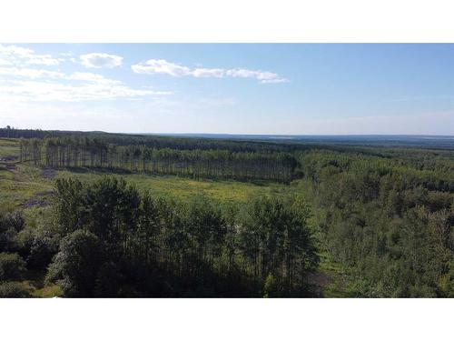 19441 Twp Rd 703, Rural Greenview No. 16, M.D. Of, AB - Outdoor With View