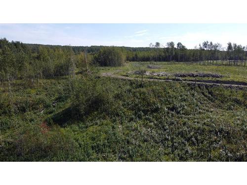 19441 Twp Rd 703, Rural Greenview No. 16, M.D. Of, AB - Outdoor With View