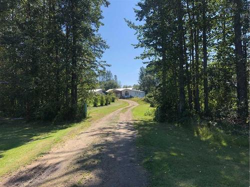 19441 Twp Rd 703, Rural Greenview No. 16, M.D. Of, AB - Outdoor With View