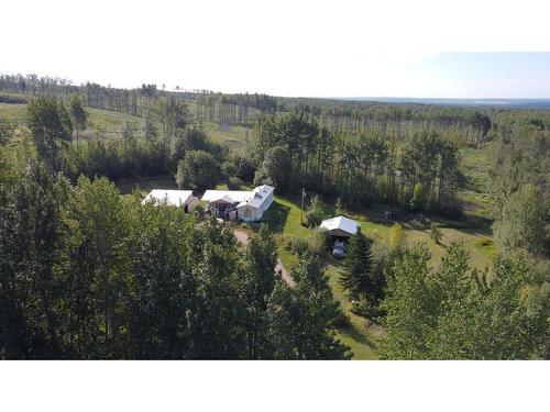 19441 Twp Rd 703, Rural Greenview No. 16, M.D. Of, AB - Outdoor With View