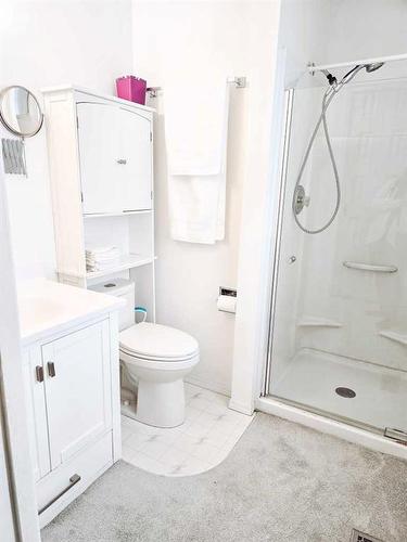 4 Sunset Drive, Spirit River, AB - Indoor Photo Showing Bathroom