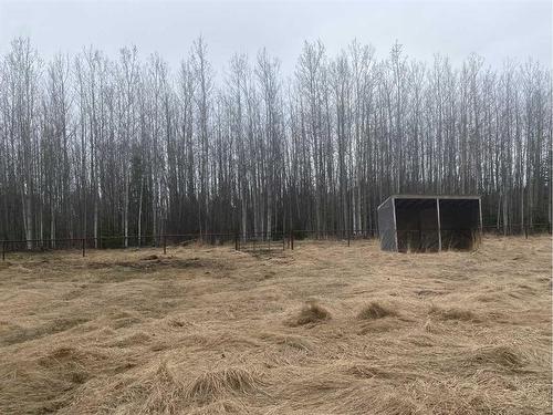 53511 Rr 162, Rural Yellowhead County, AB - Outdoor