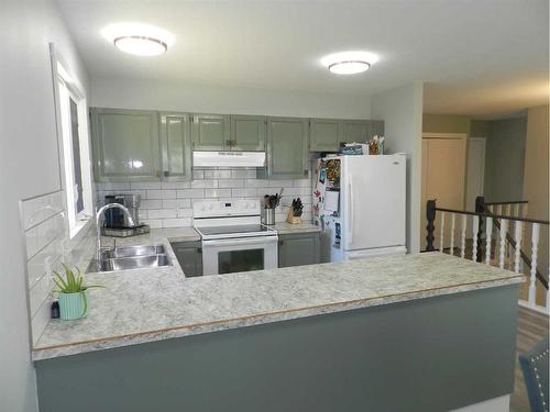 10022 84 Street, Peace River, AB - Indoor Photo Showing Kitchen With Double Sink