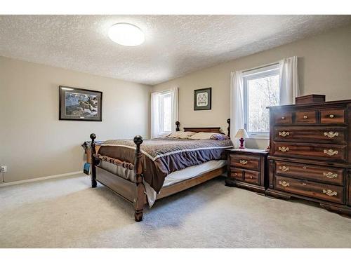 #125-842072 Range Road 241, Rural Northern Lights, County Of, AB - Indoor Photo Showing Bedroom